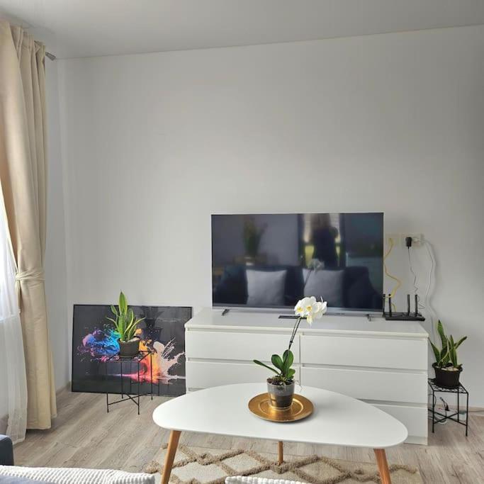 Cozy Sorada 2 Apartment Bragadiru Εξωτερικό φωτογραφία