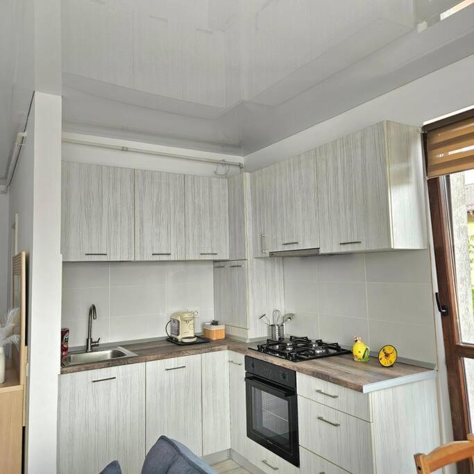 Cozy Sorada 2 Apartment Bragadiru Εξωτερικό φωτογραφία
