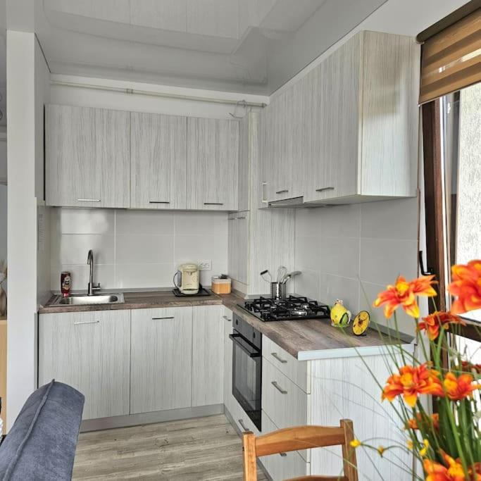 Cozy Sorada 2 Apartment Bragadiru Εξωτερικό φωτογραφία